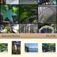 Photo picker of Mosaic app